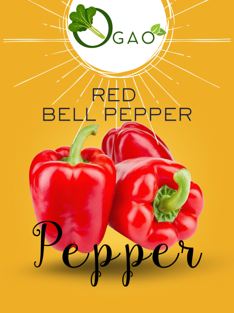 Pk Red Papper Red Bell Pepper Seeds