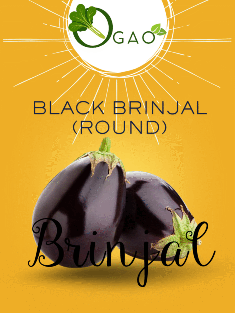Black Brinjal (round) Seeds