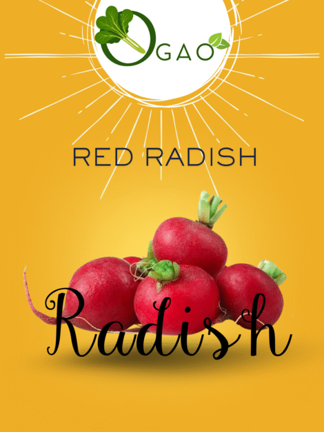 Red Radsih Seeds