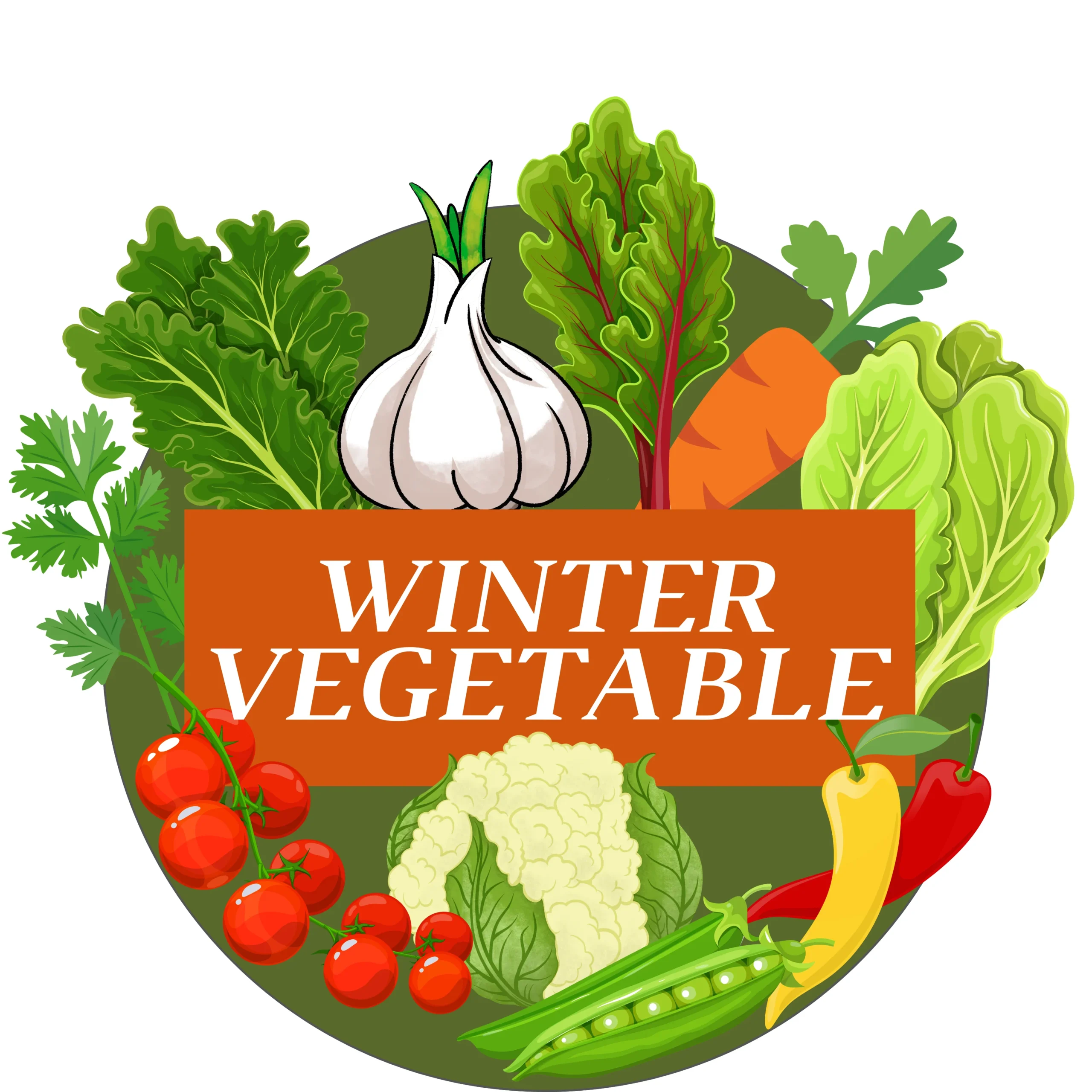Winter Vegetable
