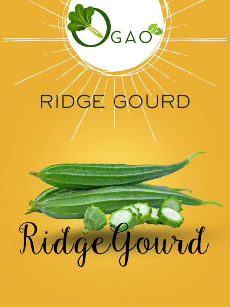 Ridge Gourd (Turai) F1 Hybrid Seeds
