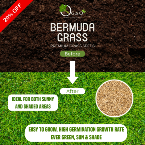Bermuda_Grass_Seed_1024x.png