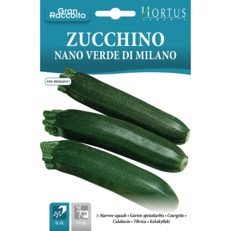 Hortus Black Beauty zucchini 15gm