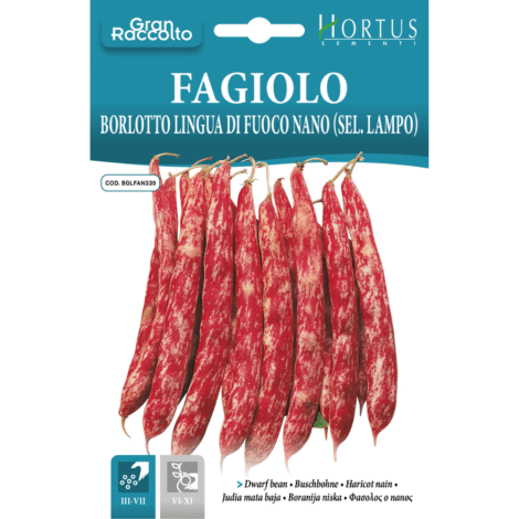 Hortus Bush runner bean Borlotto 60gm