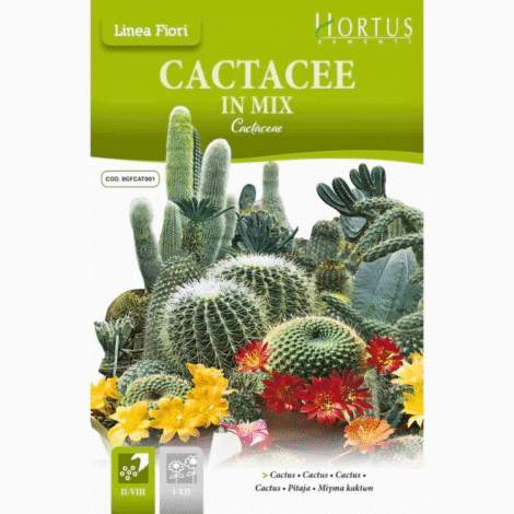 Cactusmixseedsogao.pk_1024x.png