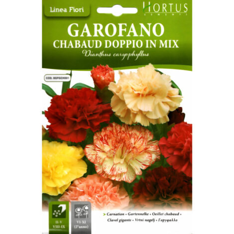 Spring & Summer Flower Seeds 2 HORTUS CHABAUD DOUBLE MIX CARNATION 0.20 GRAMS