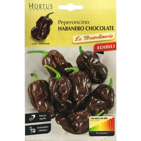 HortusChocolateHabaneroChiliSeeds_Capsicumchinense_1024x.jpg