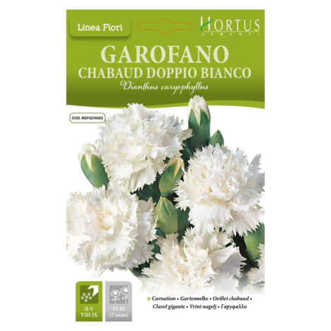 Spring & Summer Flower Seeds 4 HORTUS CHABAUD DOUBLE WHITE CARNATION 0.20 GRAMS