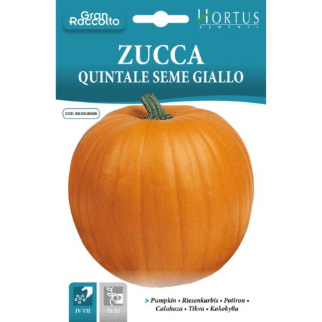 Hortus Pumpkin Yellow Quintal 8gm