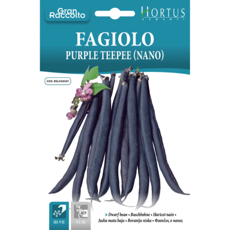 Hortus Purple Teepee Bush Bean 60gm