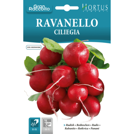 Hortus Radish red Ciliegia 30gm