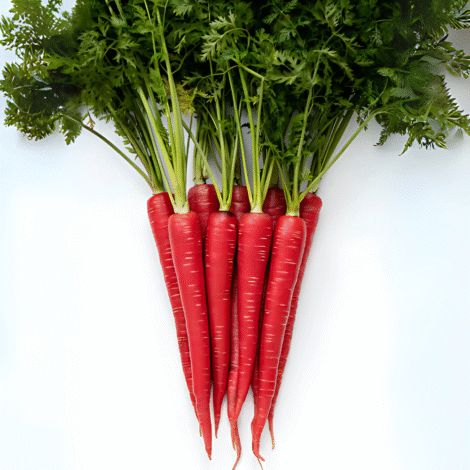 Red Carrot (Gajar) seeds