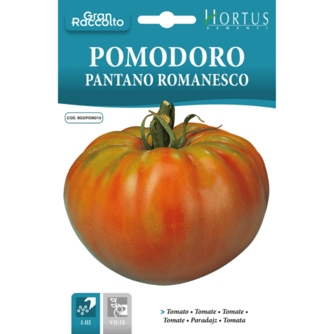 TomatoPantanoRomanescoogao.pk_1024x.png