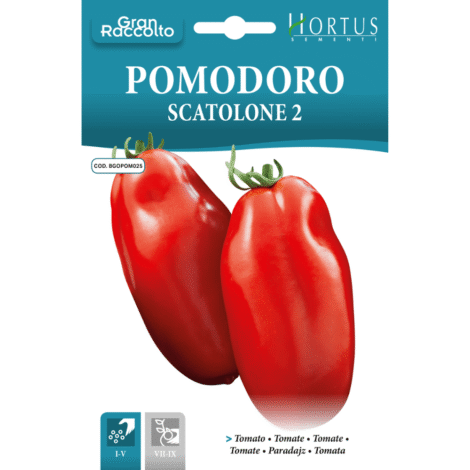 TomatoScatolone2ogao.pk_1024x.png