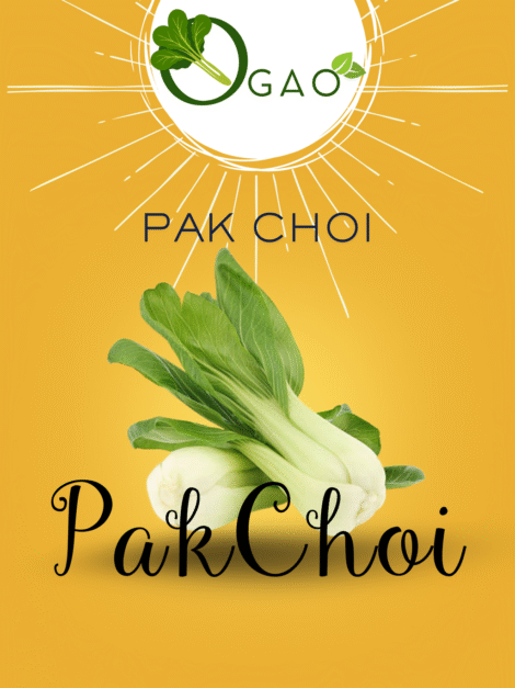 Pak Choi Seeds