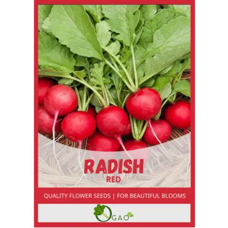 Radish Red Seeds
