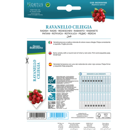 Untitled design 33 1024x