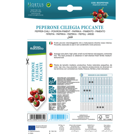 Untitleddesign 29 1024x