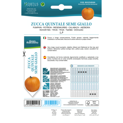 Untitleddesign 31 1024x