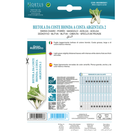 Untitleddesign 34 1024x