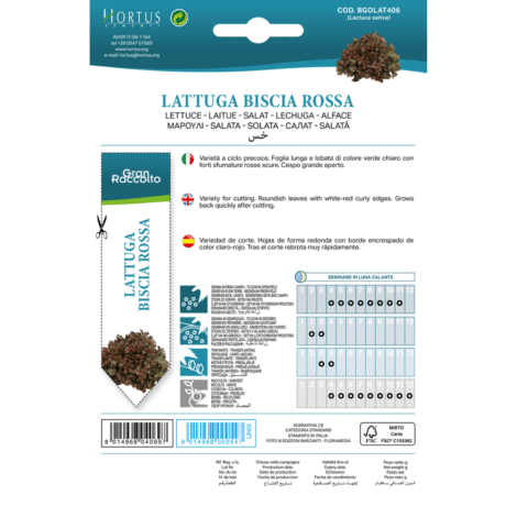 Untitleddesign 35 1024x