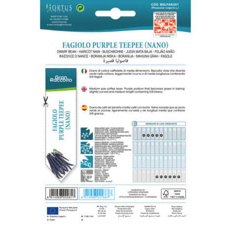 Untitleddesign 37 1024x