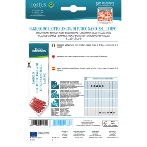 Untitleddesign 39 1024x