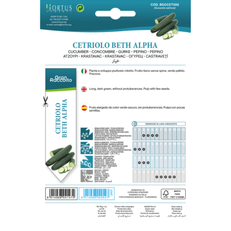 Untitleddesign 54 1024x