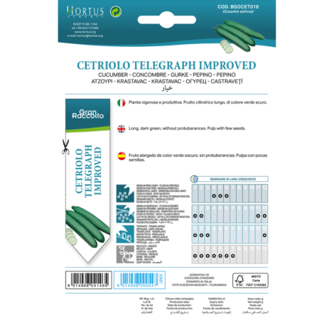 Untitleddesign 55 1024x