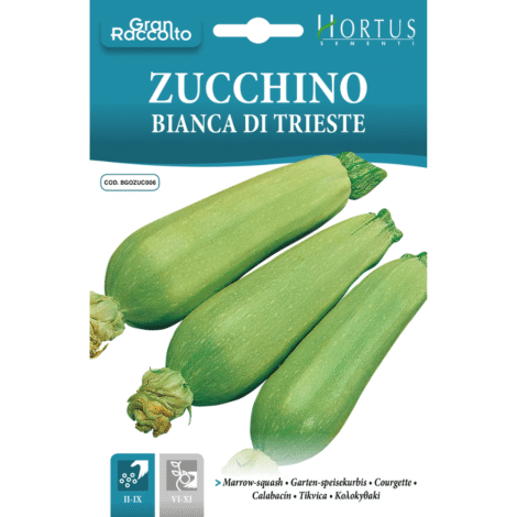 ZucchiniWhiteFromTriesteogao.pk_1024x.png