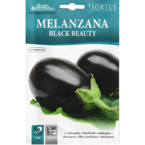 hortusmelanzanablackbeauty_1024x.png