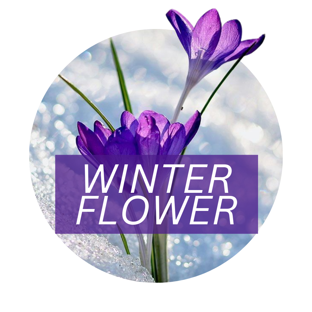 Winter Flower