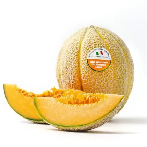 Charentais melon