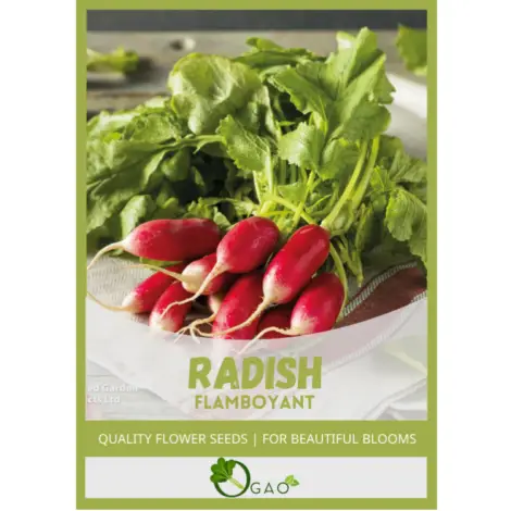 Untitled design (59)