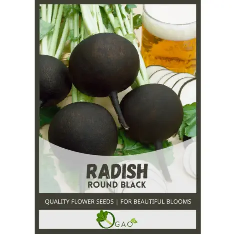 Untitled design (60)