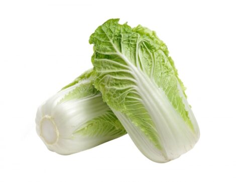 chinese cabbage